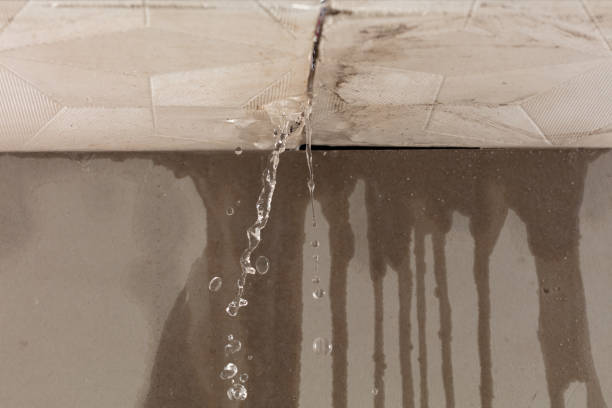Professional Flood Damage Cleanup technician working in Tsaile, AZ